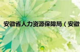 安徽省人力资源保障局（安徽省人力资源和社会保障信息中心）