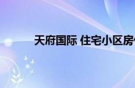 天府国际 住宅小区房价（天府国际 住宅小区）