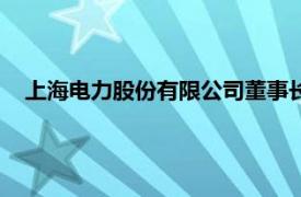 上海电力股份有限公司董事长林华（上海电力股份有限公司）