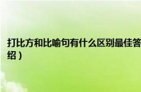 打比方和比喻句有什么区别最佳答案（打比方和比喻的区别相关内容简介介绍）