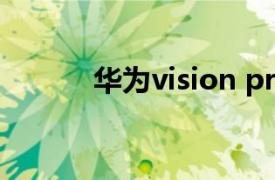 华为vision pro（华为Vision）