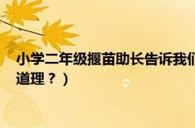 小学二年级揠苗助长告诉我们什么道理（揠苗助长告诉我们什么道理？）