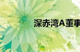 深赤湾A董事长（深赤湾A）