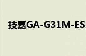 技嘉GA-G31M-ES2C（技嘉GA-G31M）