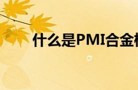 什么是PMI合金检测（什么是PMI）