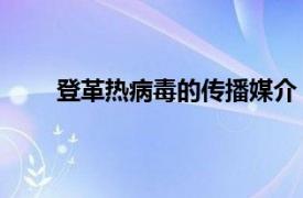 登革热病毒的传播媒介（登革热 急性虫媒传染病）