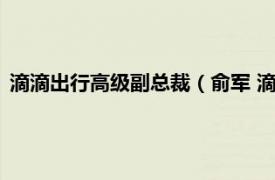 滴滴出行高级副总裁（俞军 滴滴出行顾问、百度原产品副总裁）