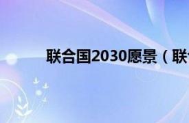 联合国2030愿景（联合国中国“畅想2030”）