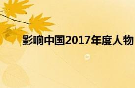 影响中国2017年度人物（影响中国2013年度人物）