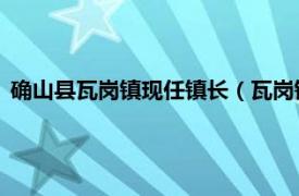 确山县瓦岗镇现任镇长（瓦岗镇 河南省驻马店市确山县下辖镇）