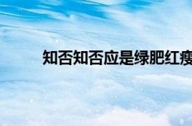 知否知否应是绿肥红瘦是什么意思免费观看全集