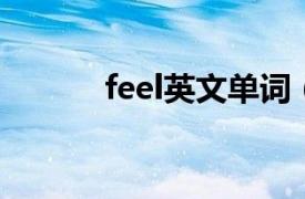 feel英文单词（feel 英文单词）