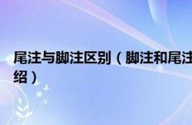 尾注与脚注区别（脚注和尾注 它们的区别是什么相关内容简介介绍）