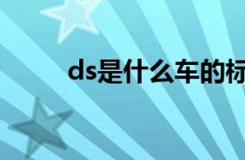 ds是什么车的标志（ds是什么车）