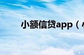 小额信贷app（小额信贷管理软件）