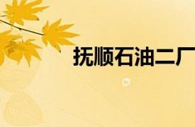 抚顺石油二厂工程师、油漆工