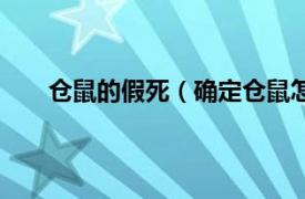 仓鼠的假死（确定仓鼠怎么假死相关内容简介介绍）