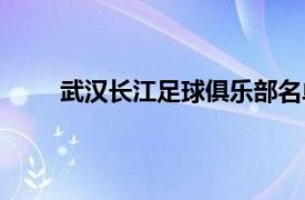 武汉长江足球俱乐部名单（武汉长江足球俱乐部）