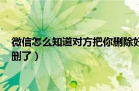 微信怎么知道对方把你删除好友了（微信好友怎么知道对方把我删了）