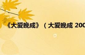 《大爱晚成》（大爱晚成 2009年中国城市出版社出版的图书）