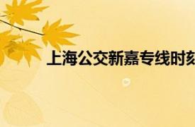 上海公交新嘉专线时刻表（上海公交新嘉专线）