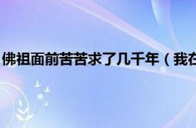 佛祖面前苦苦求了几千年（我在佛前苦苦求了几千年是什么歌？）