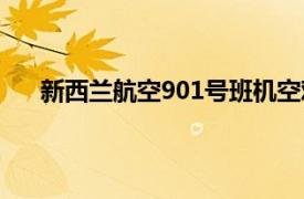 新西兰航空901号班机空难（新西兰航空901号班机）