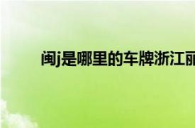 闽j是哪里的车牌浙江丽水到福建福鼎多少公里路