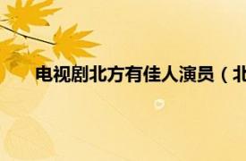 电视剧北方有佳人演员（北方有佳人 王文杰执导电视剧）