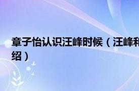 章子怡认识汪峰时候（汪峰和章子怡怎么认识的相关内容简介介绍）