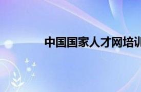 中国国家人才网培训网（中国国家人才网）