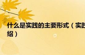 什么是实践的主要形式（实践的基本形式有什么相关内容简介介绍）