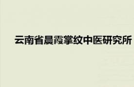 云南省晨霞掌纹中医研究所（王晨霞 掌纹医学研究所所长）