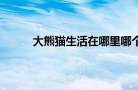 大熊猫生活在哪里哪个省（大熊猫生活在哪里）