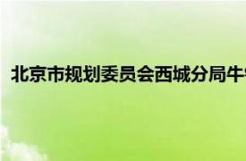 北京市规划委员会西城分局牛锐（北京市规划委员会西城分局）