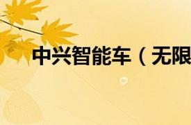 中兴智能车（无限 中兴汽车旗下SUV）