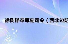 徐树铮奉军副司令（西北边防军 皖系军阀徐树铮麾下的部队）