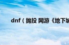 dnf（抛投 网游《地下城与勇士》柔道家职业技能）