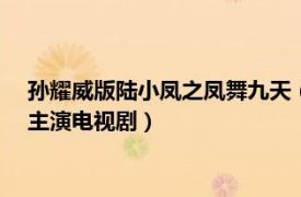 孙耀威版陆小凤之凤舞九天（陆小凤之凤舞九天 2001年孙耀威主演电视剧）