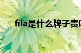 fila是什么牌子贵吗（fila是什么牌子）