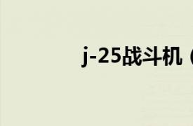 j-25战斗机（J系列战斗机）