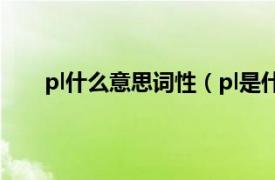 pl什么意思词性（pl是什么词性相关内容简介介绍）