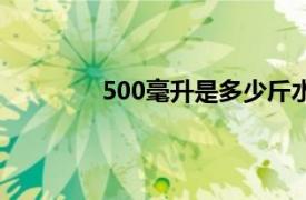 500毫升是多少斤水（500毫升是多少斤）