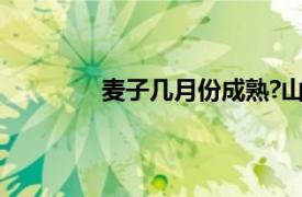 麦子几月份成熟?山东（麦子几月份成熟）