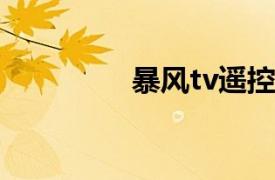 暴风tv遥控器（暴风TV）