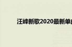 汪峰新歌2020最新单曲（2020 汪峰音乐专辑）