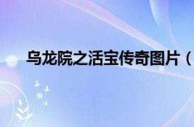 乌龙院之活宝传奇图片（乌龙院大长篇 活宝传奇26）