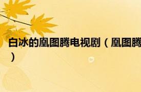 白冰的凰图腾电视剧（凰图腾 2011年白冰、张默主演古装电视剧）