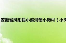 安徽省凤阳县小溪河镇小岗村（小岗村 安徽滁州市凤阳县小溪河镇下辖村）