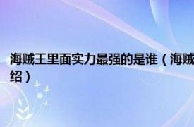 海贼王里面实力最强的是谁（海贼王实力最强的前十名有谁相关内容简介介绍）